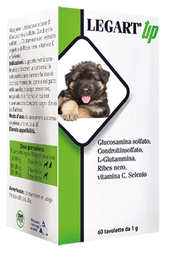 dottorbianchi2-2103298