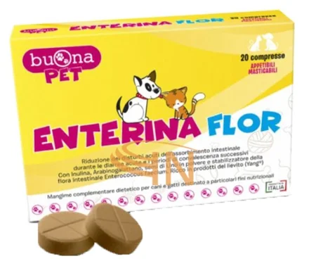 farmaciainlinea-2135070