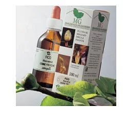 farmaciainlinea-2209288