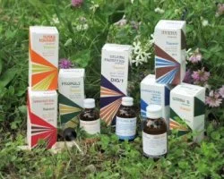 farmaciainlinea-2211352