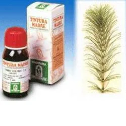 farmaciainlinea-2246953