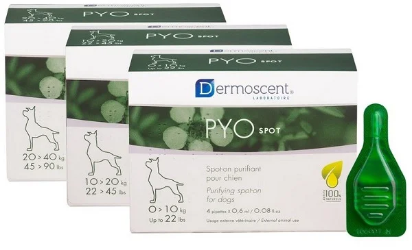 farmaciainlinea-2267891