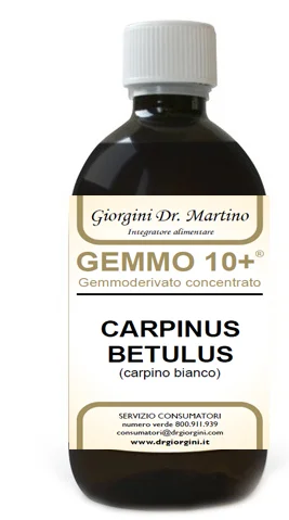farmaciainlinea-2269306