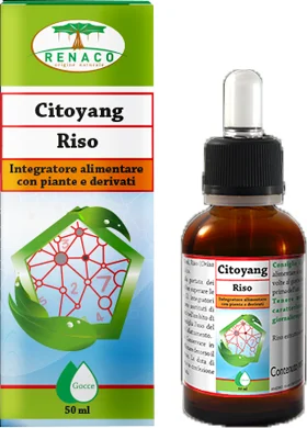 farmaciainlinea-2279506