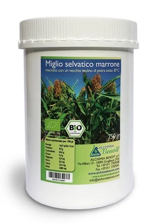 farmaciainlinea-2286355