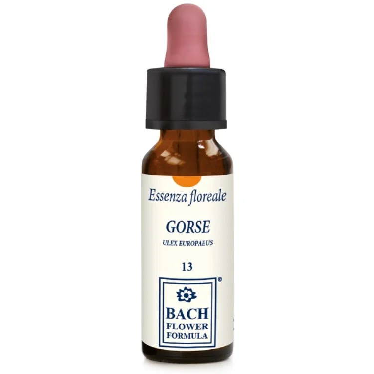 farmacialucia-2302629
