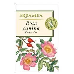 farmaciastornelli22040702