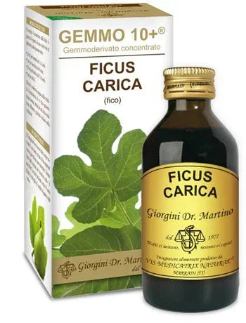 farmaciastornelli22074409