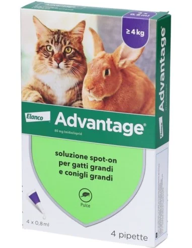 farmaciatrampetti-2195678