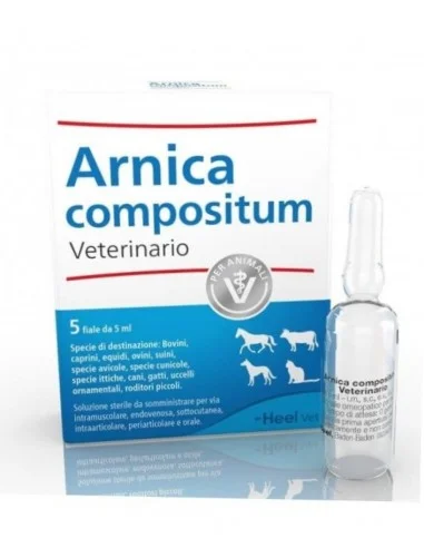 farmaciatrampetti-2215848