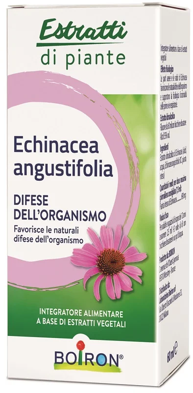farmasconti1-2112524