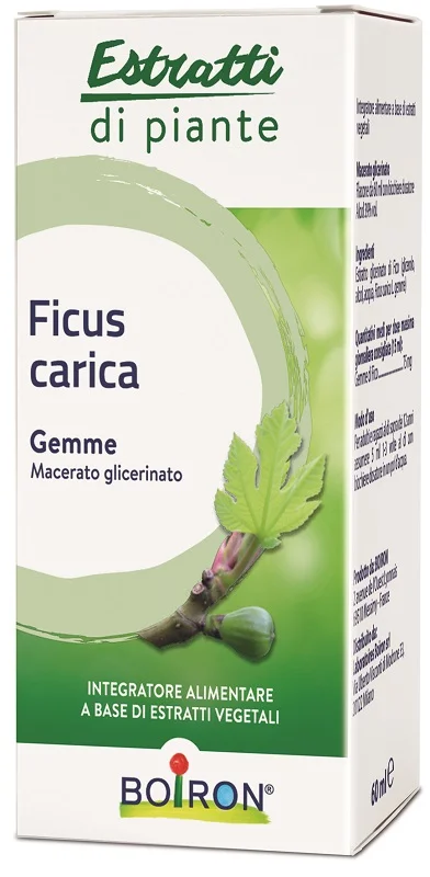 farmasconti1-2112613