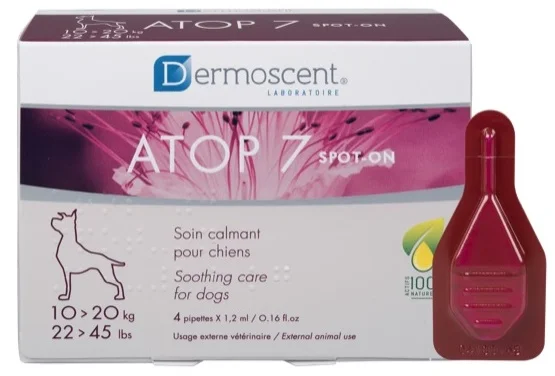 farmasconti1-2181173