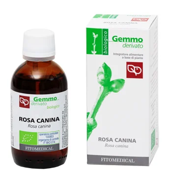farmasconti1-2206456