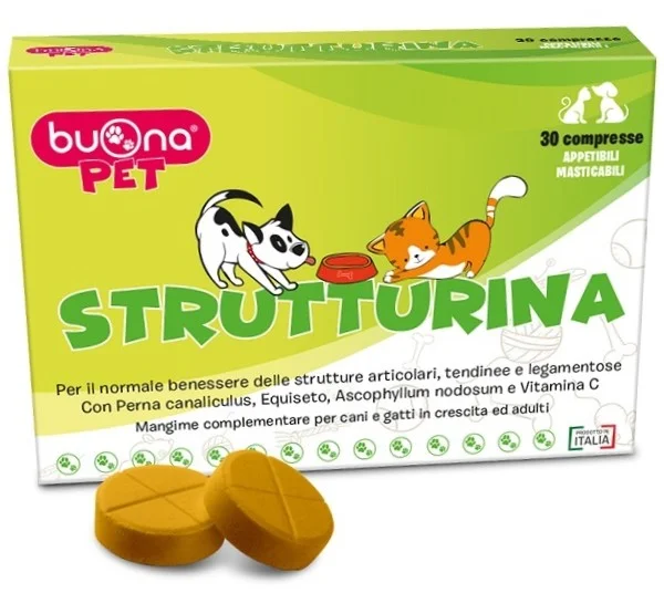 farmasconti1-2229991