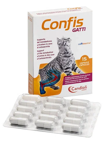 farmasconti1-2235297