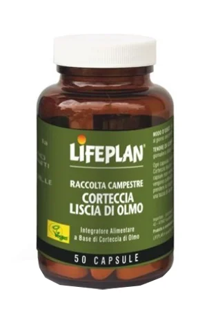 farmasconti1-2246471