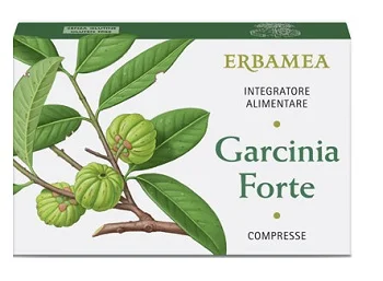 farmasconti2-2121684
