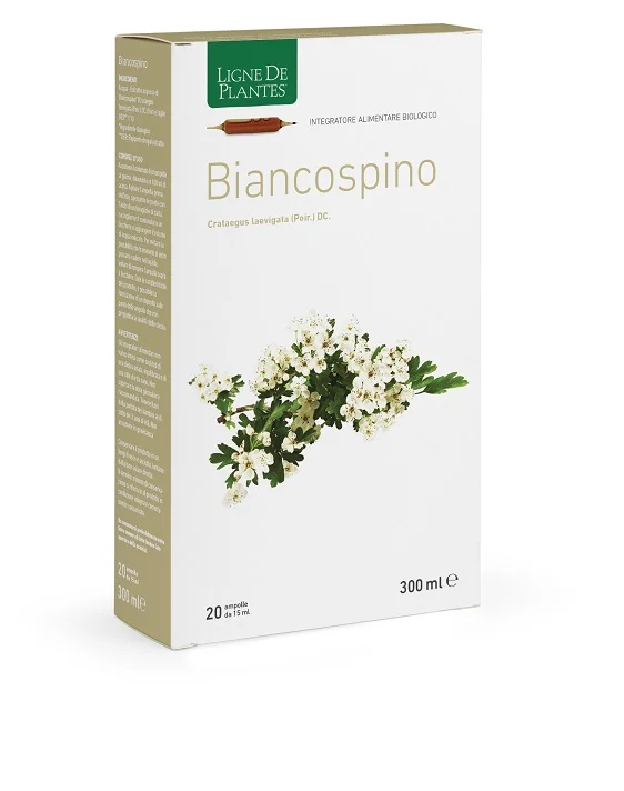 farmasconti2-2227636