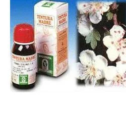 farmasconti3-2155305