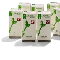 farmasconti3-2161429