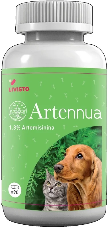 farmasconti3-2184549