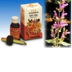 farmasconti3-2234701