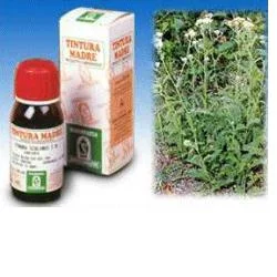 farmasconti3-2235086