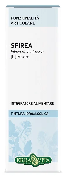 farmasconti3-2266127
